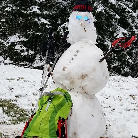 Appartement U Lejbusia *