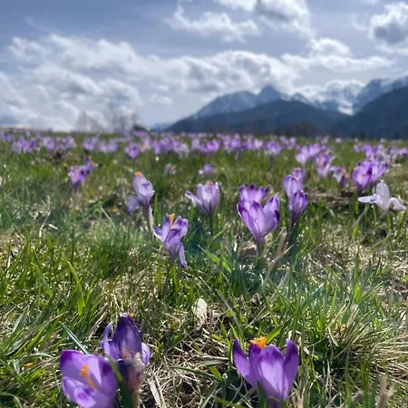 Appartement U Lejbusia Kościelisko