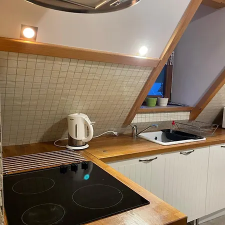 U Lejbusia Sauna & Gym * 코스실리스코