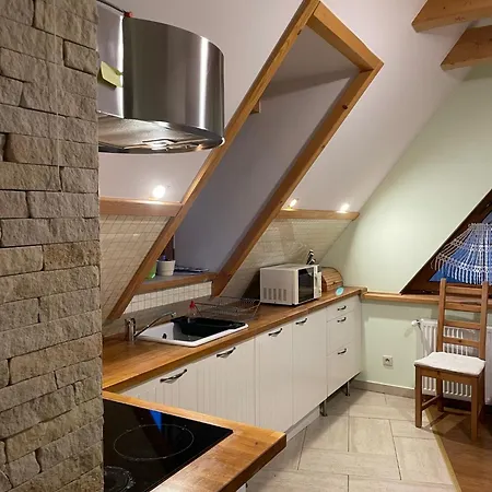 아파트 U Lejbusia Sauna & Gym 코스실리스코