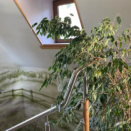 U Lejbusia Sauna & Gym 아파트 *