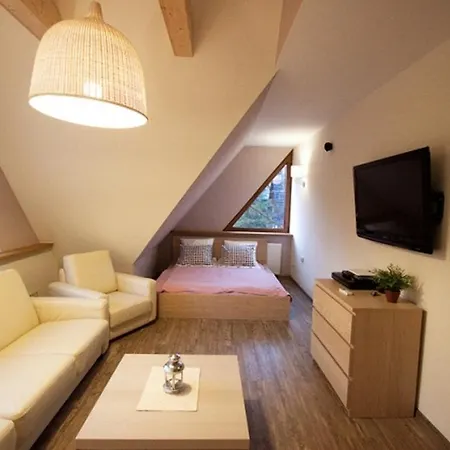 아파트 U Lejbusia Sauna & Gym 코스실리스코