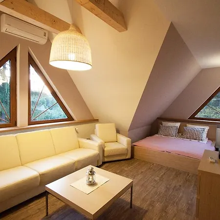 U Lejbusia Sauna & Gym * 코스실리스코