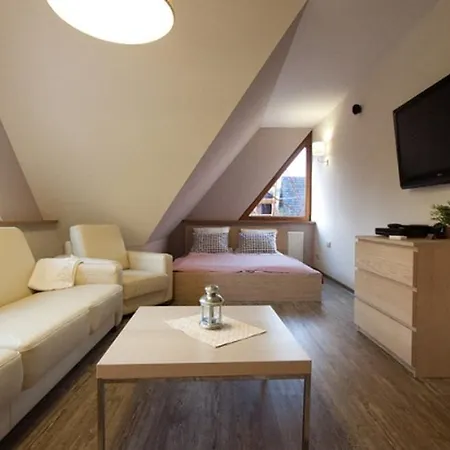 아파트 U Lejbusia Sauna & Gym