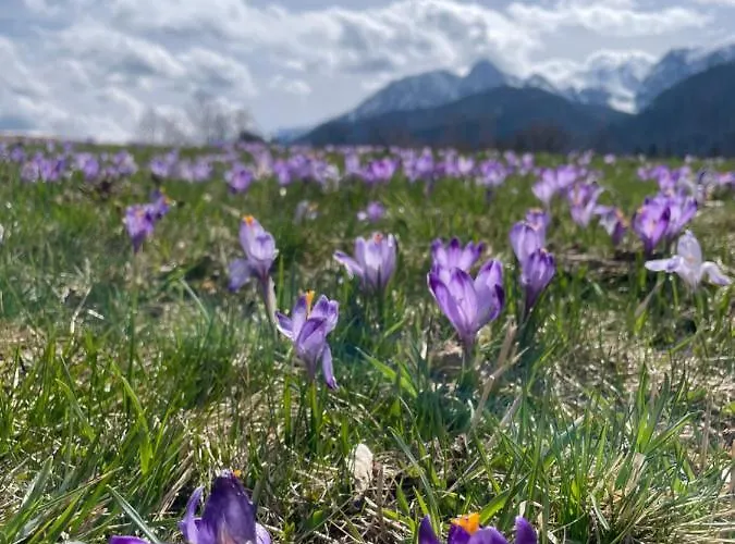 Appartamento U Lejbusia Sauna & Gym Kościelisko