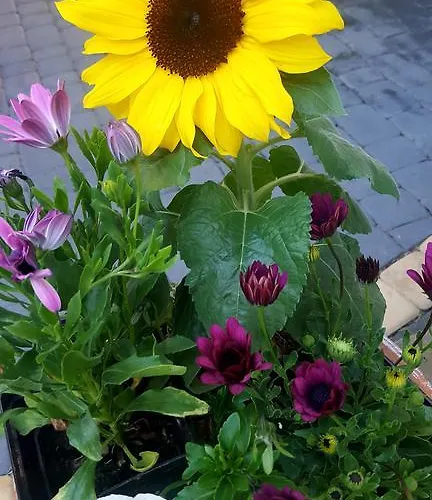 U Lejbusia Sauna & Gym Kościelisko